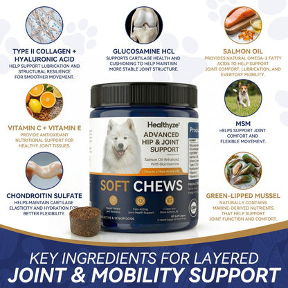 Advanced Hip & Joint Care Chews – dog joint supplement for mobility