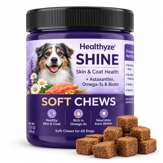 Healthyze Shine Soft Chews