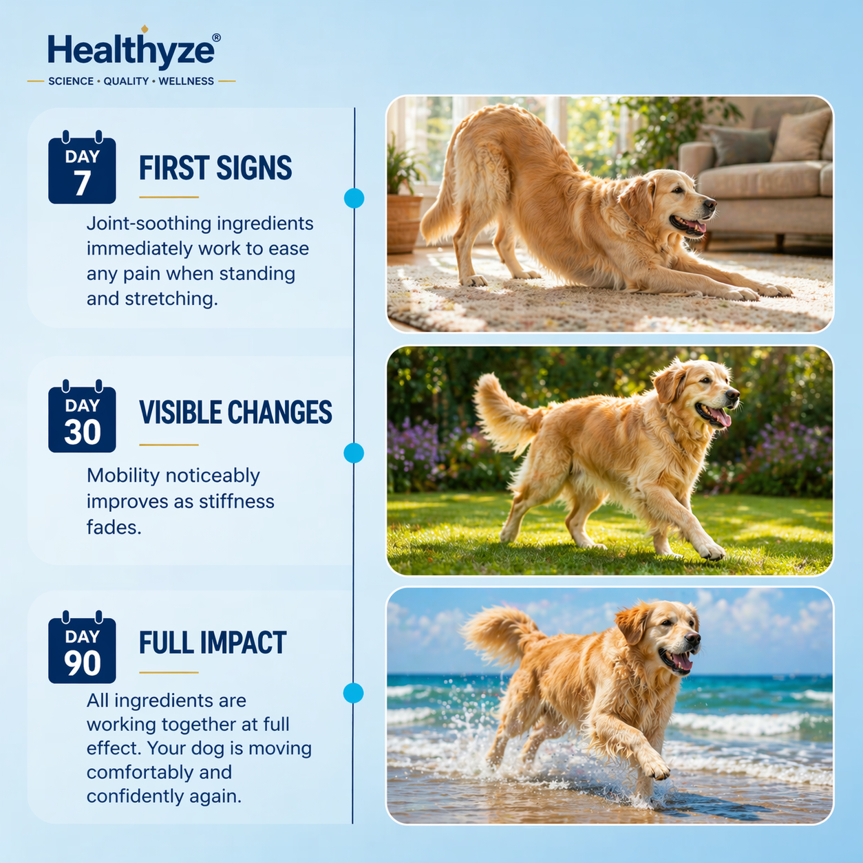 Advanced Hip & Joint Care Chews – dog joint supplement for mobility