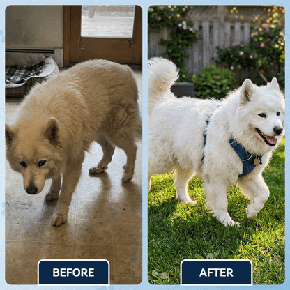 Advanced Hip & Joint Support Soft Chews✅️Fast Relief for Stiff Joints✅️90-DayGuarantee💎TikTok VIP Offer-Save 59% Today