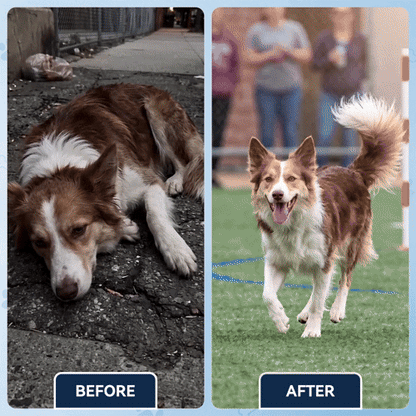 Advanced Hip & Joint Support Soft Chews✅️Fast Relief for Stiff Joints✅️90-DayGuarantee💎TikTok VIP Offer-Save 59% Today