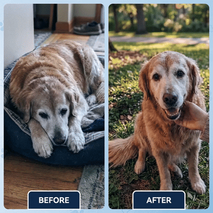 Advanced Hip & Joint Support Soft Chews✅️Fast Relief for Stiff Joints✅️90-DayGuarantee💎TikTok VIP Offer-Save 59% Today